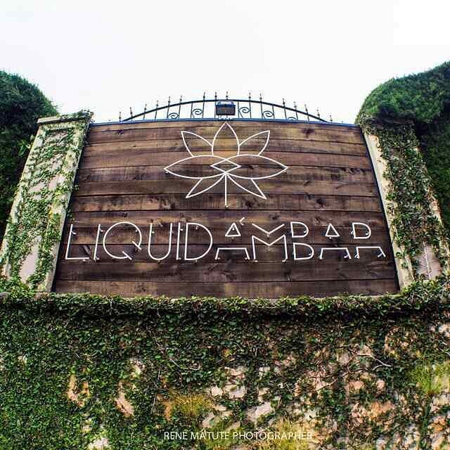 Logo del hotel