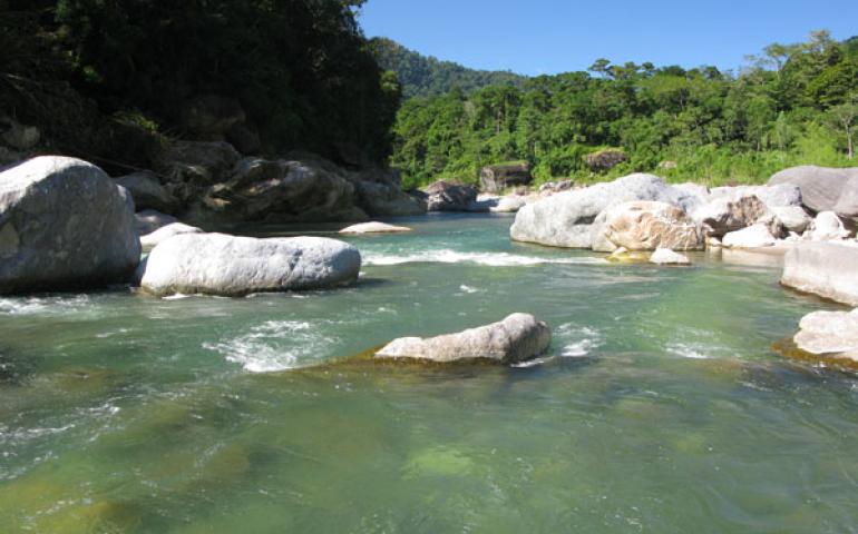 El Rio Cangrejal de La Ceiba, una joya para disfrutar!